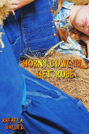 Book cover of Horny Cowgirls Get Rode