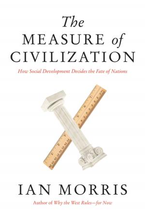 Cover of the book The Measure of Civilization by Daniel J. Tichenor