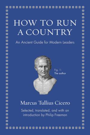 Cover of the book How to Run a Country by William H. Waller