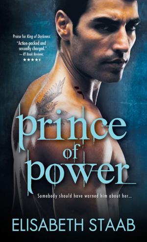 Cover of the book Prince of Power by Allison Edwards
