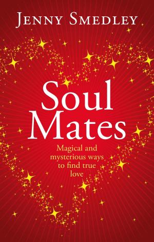 Cover of the book Soul Mates by Michael Sparrow