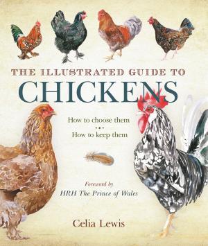 Cover of the book The Illustrated Guide to Chickens by Ed Gilbert, Catherine Gilbert