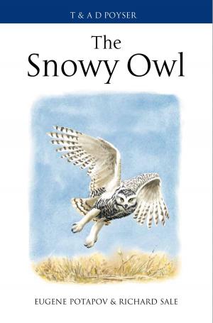 Cover of the book The Snowy Owl by Eric Linklater