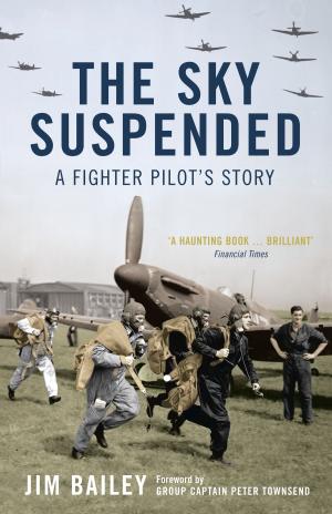 Cover of the book The Sky Suspended by Dr Andrew Lyall