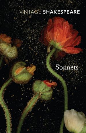 Cover of the book Sonnets by Nick Mitchell
