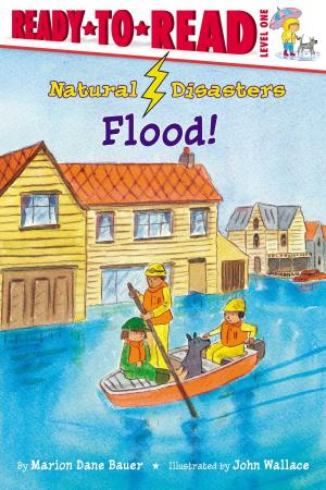 Cover of the book Flood! by R. J. Cregg