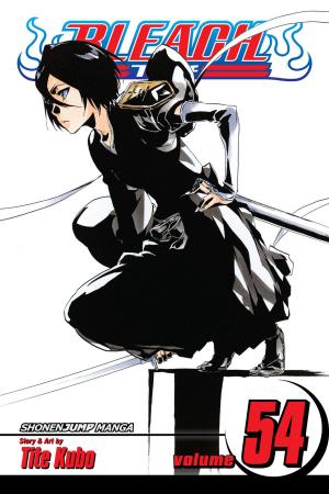 Cover of the book Bleach, Vol. 54 by Shirow Miwa