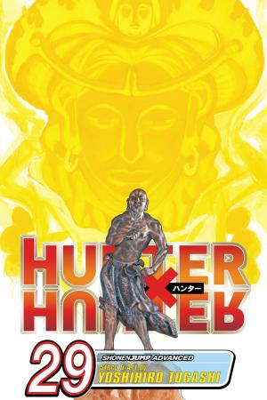 bigCover of the book Hunter x Hunter, Vol. 29 by 