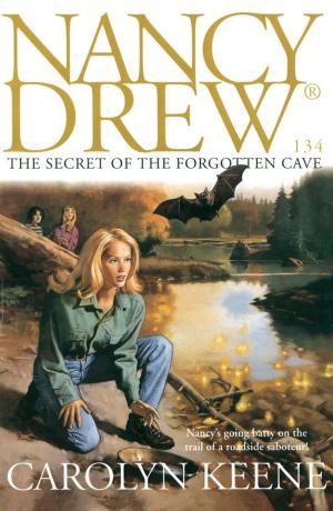 Cover of the book The Secret of the Forgotten Cave by Helen Perelman