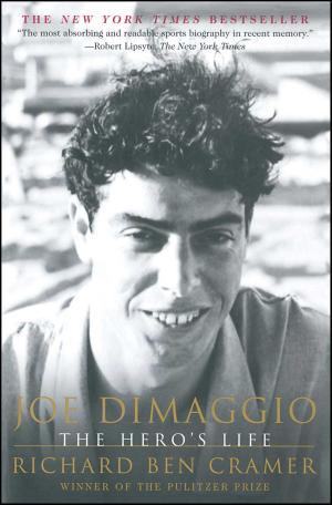 Cover of the book Joe DiMaggio by Ed McBain