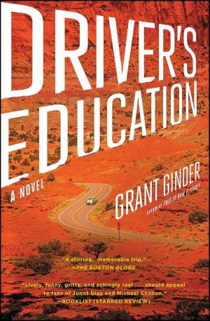 Cover of the book Driver's Education by David J Eicher