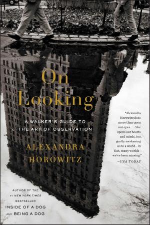 Book cover of On Looking