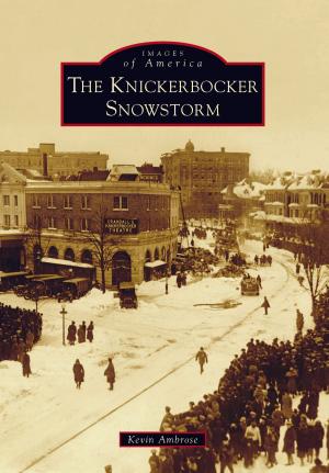 Cover of the book The Knickerbocker Snowstorm by David W. Seidel