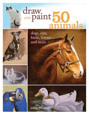 Cover of the book Draw and Paint 50 Animals by Pam Allen, Ann Budd