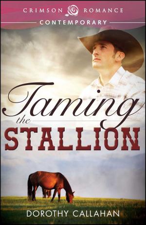 Cover of the book Taming the Stallion by Erin McCauley
