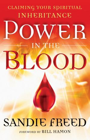 Cover of the book Power in the Blood by Melissa Tagg