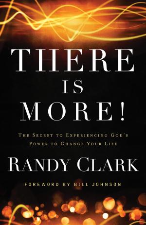 Cover of There Is More!