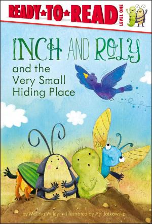 Book cover of Inch and Roly and the Very Small Hiding Place