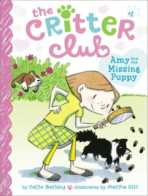 Book cover of Amy and the Missing Puppy