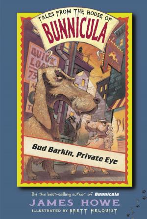 Cover of the book Bud Barkin, Private Eye by Cynthia Voigt
