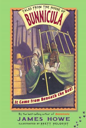 Cover of the book It Came from Beneath the Bed! by E.L. Konigsburg