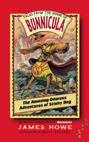 Book cover of The Odorous Adventures of Stinky Dog