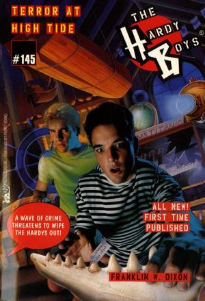 Cover of the book Terror at High Tide by R.L. Stine