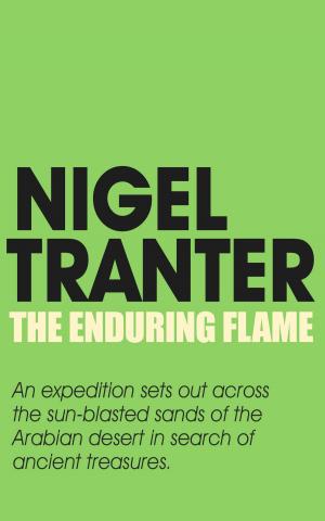 Book cover of The Enduring Flame