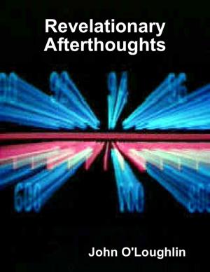 Cover of the book Revelationary Afterthoughts by Fred Stetz