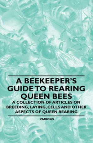 Cover of the book A Beekeeper's Guide to Rearing Queen Bees - A Collection of Articles on Breeding, Laying, Cells and Other Aspects of Queen Rearing by August Strindberg