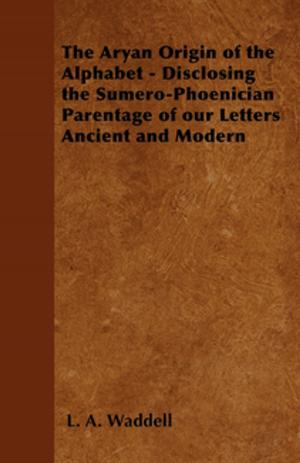 Book cover of The Aryan Origin of the Alphabet - Disclosing the Sumero-Phoenician Parentage of Our Letters Ancient and Modern