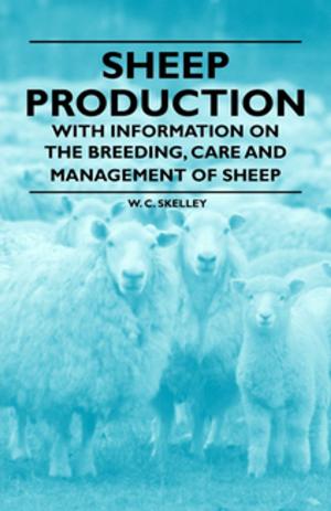 Cover of the book Sheep Production - With Information on the Breeding, Care and Management of Sheep by Edgar Wallace