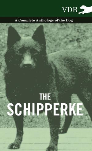 Cover of the book The Schipperke - A Complete Anthology of the Dog by Various