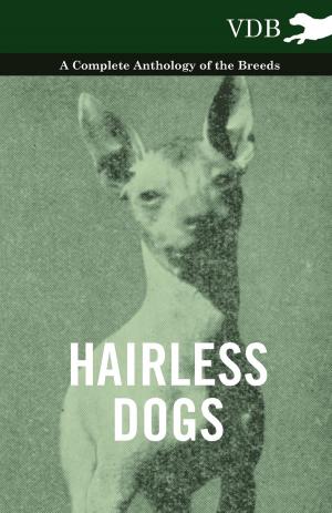 Cover of the book Hairless Dogs - A Complete Anthology of the Breeds by John Cleland