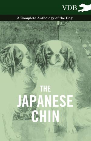 Cover of the book The Japanese Chin - A Complete Anthology of the Dog by D. G. E. Hall
