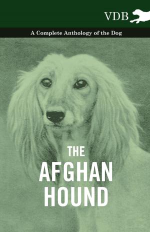 bigCover of the book The Afghan Hound - A Complete Anthology of the Dog - by 