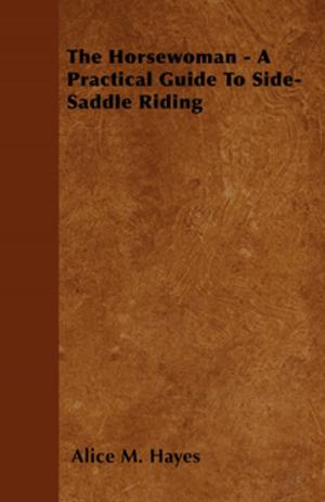 Cover of the book The Horsewoman - A Practical Guide To Side-Saddle Riding by Sara Teasdale