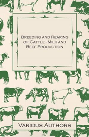 Book cover of Breeding and Rearing of Cattle - Milk and Beef Production
