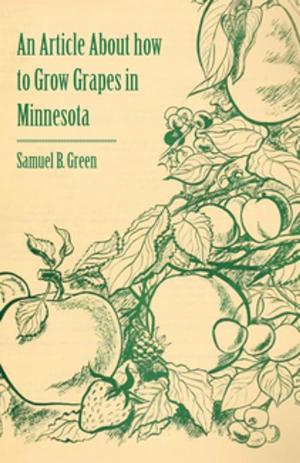 Cover of the book An Article about How to Grow Grapes in Minnesota by Sydney Northcote