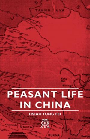 Book cover of Peasant Life in China