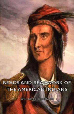 Cover of the book Beads and Beadwork of the American Indians by Dinah Craik