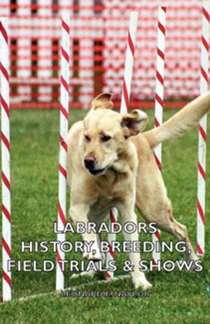 Cover of the book Labradors - History, Breeding, Field Trials & Shows by Willard F. Baker