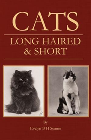 Cover of the book Cats - Long Haired and Short - Their Breeding, Rearing & Showing by Noel Jaquin