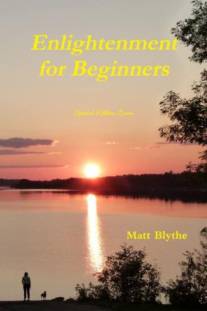 Cover of the book Enlightenment For Beginners : Special Edition Cover by Sky Aldovino