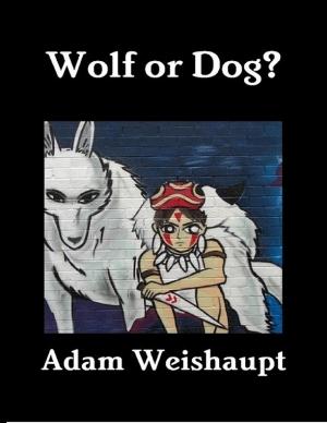 Cover of the book Wolf or Dog? by Vanessa Carvo