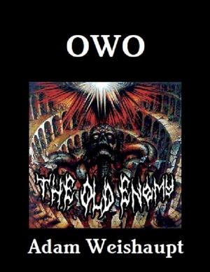Cover of the book OWO by Sky Aldovino