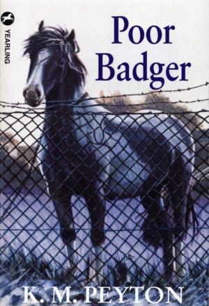 Cover of the book Poor Badger by Robert Swindells