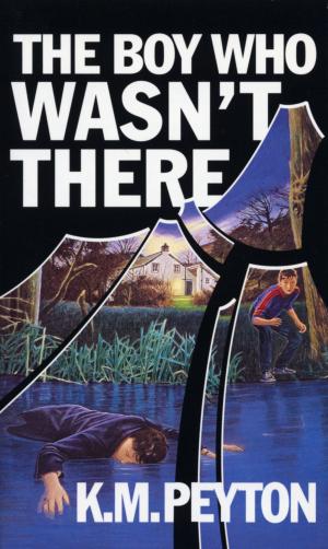 Cover of the book The Boy Who Wasn't There by Karen Mahoney