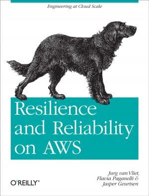 Cover of the book Resilience and Reliability on AWS by Douglas Finke