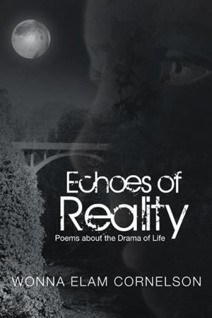 Cover of the book Echoes of Reality by Silas Kanyabigega DMin